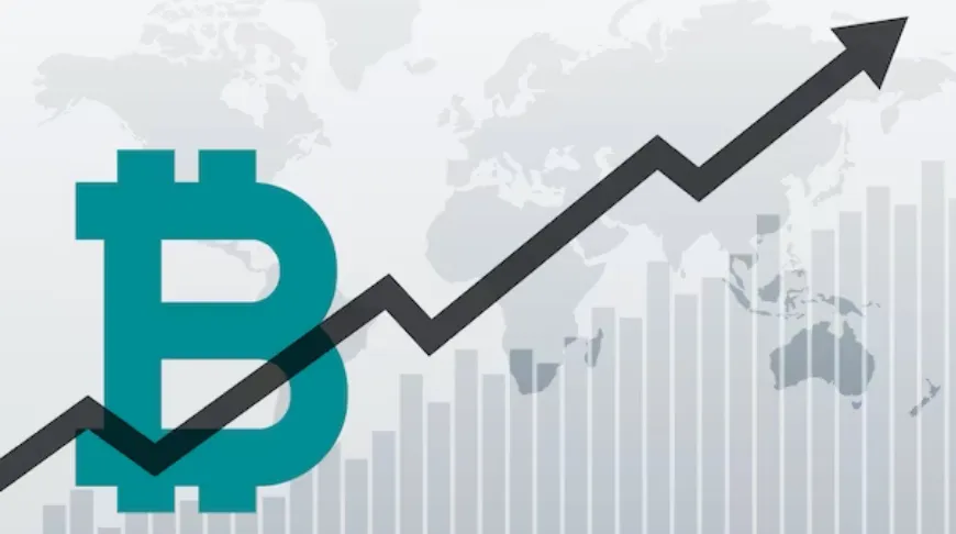 case-studies-AiPlex-bridge